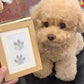 💖The Best Gift of Memorial🐕Pet Paw Printing Kit